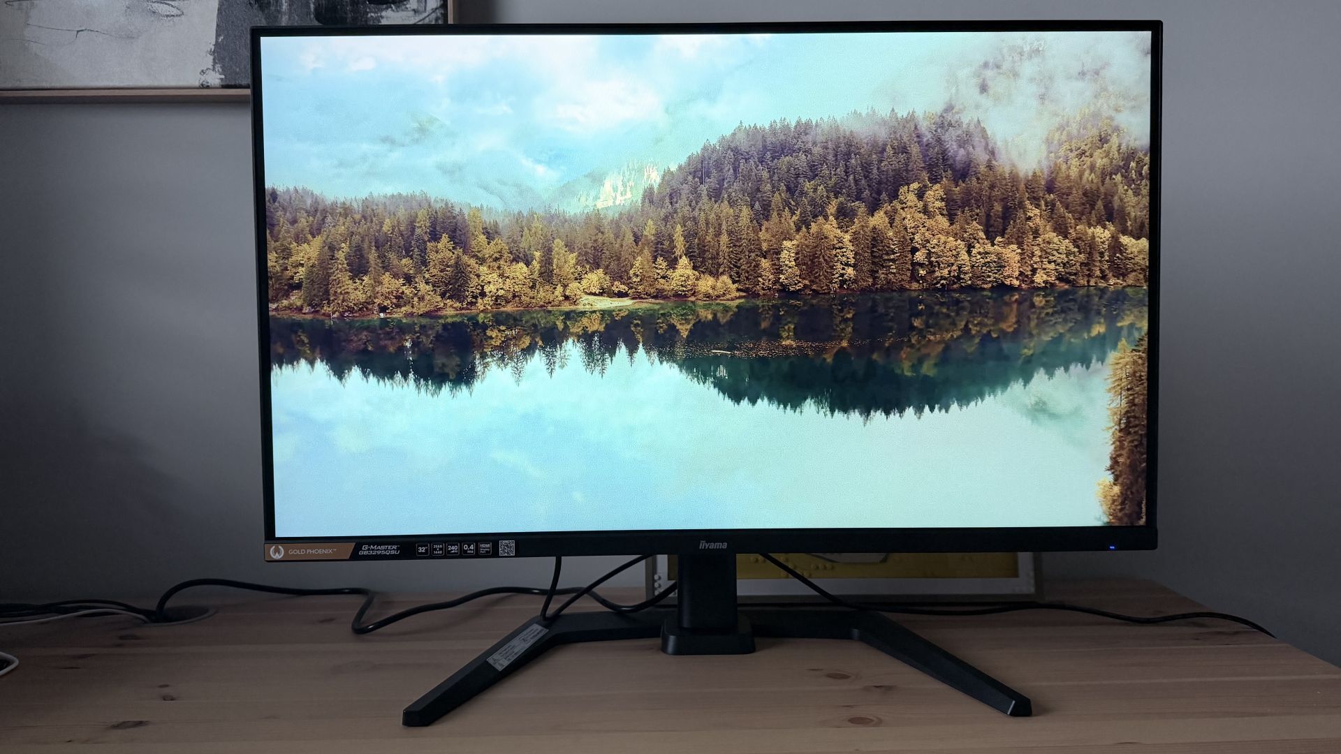 Test iiyama G-Master GB3295QSU-B1 Gold Phoenix test.