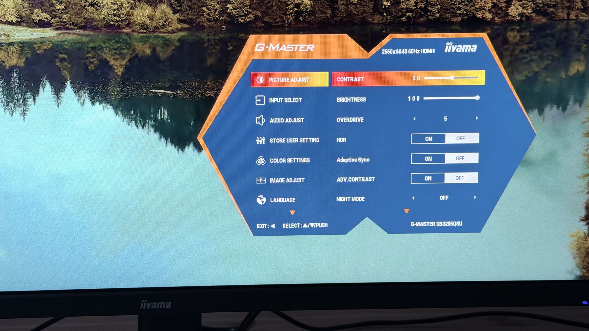 Test iiyama G-Master GB3295QSU-B1 Gold Phoenix test.