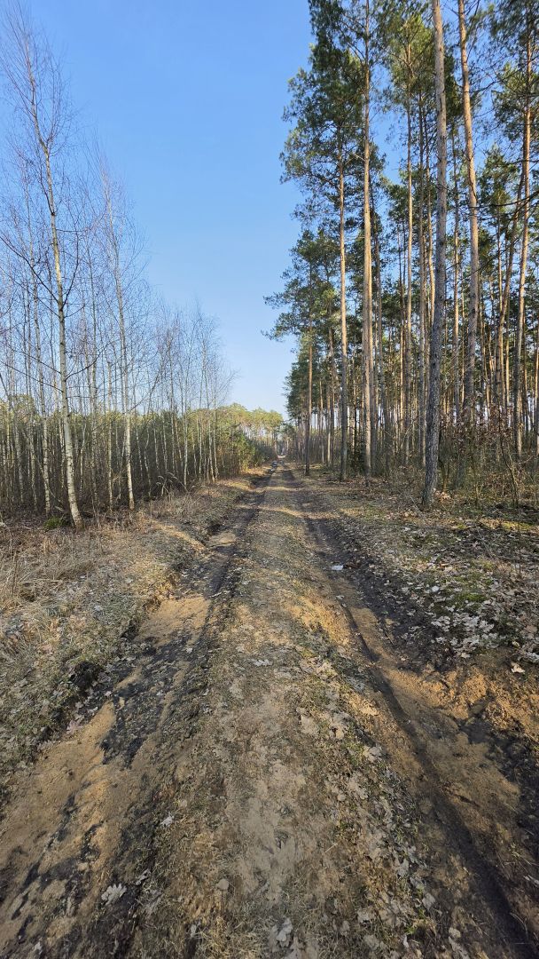 Samsung Galaxy S26 Ultra - obiektyw ultraszerokokątny, główny, 2x zoom, 3x zoom, 5x zoom, 10x zoom