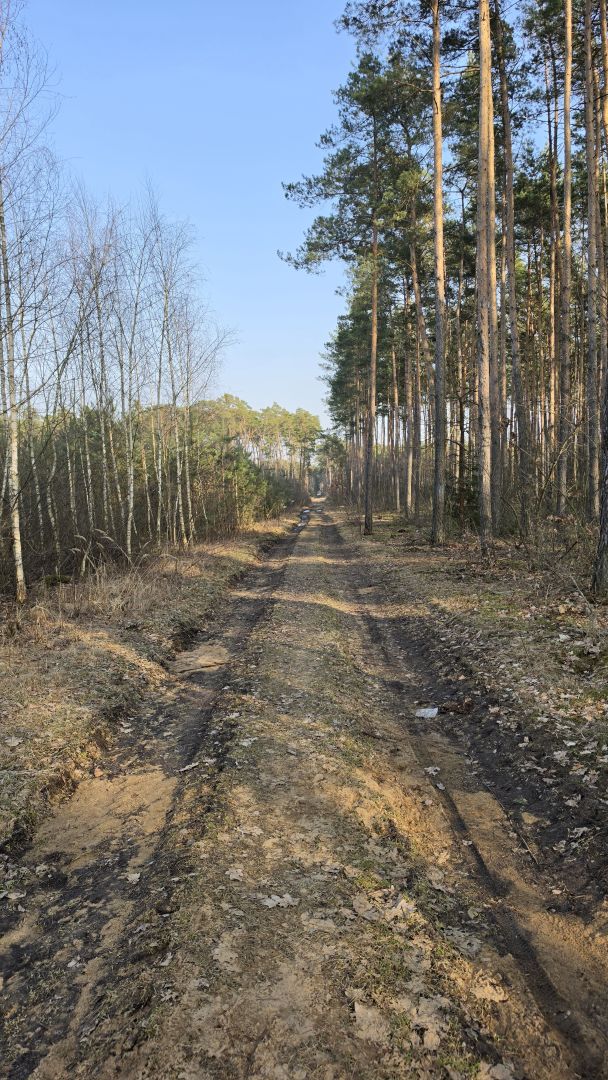 Samsung Galaxy S26 Ultra - obiektyw główny