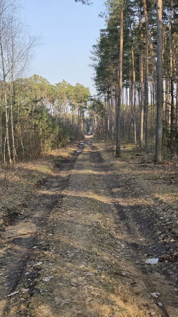 Samsung Galaxy S26 Ultra - obiektyw ultraszerokokątny, główny, 2x zoom, 3x zoom, 5x zoom, 10x zoom