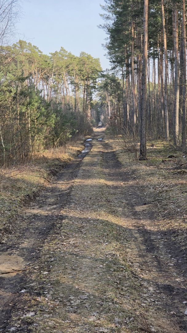 Samsung Galaxy S26 Ultra - obiektyw ultraszerokokątny, główny, 2x zoom, 3x zoom, 5x zoom, 10x zoom