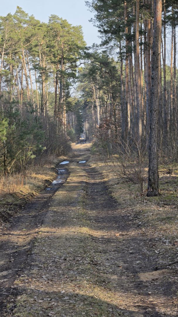Samsung Galaxy S26 Ultra - obiektyw ultraszerokokątny, główny, 2x zoom, 3x zoom, 5x zoom, 10x zoom