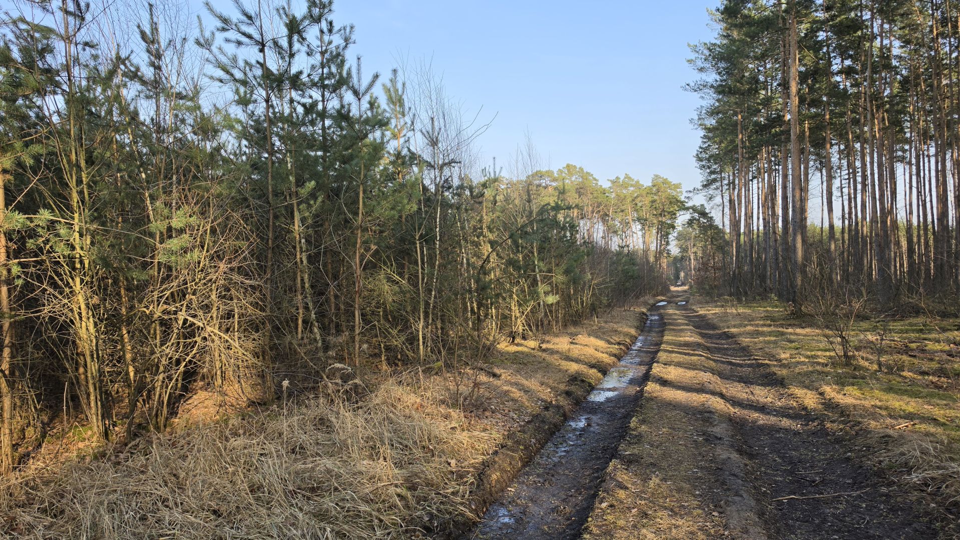 Samsung Galaxy S26 Ultra - obiektyw główny