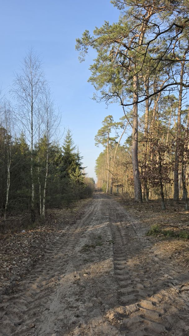 Samsung Galaxy S26 Ultra - obiektyw główny