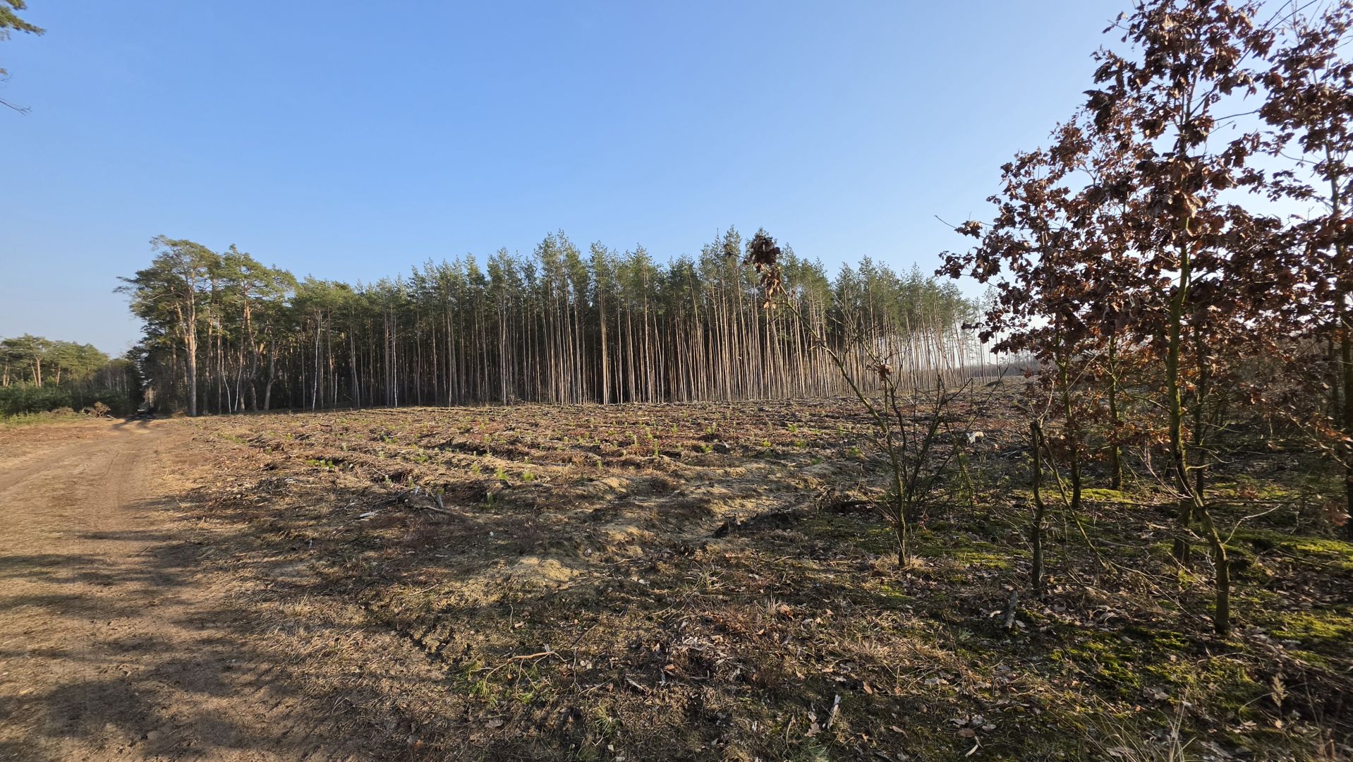 Samsung Galaxy S26 Ultra - obiektyw ultraszerokokątny, główny, 2x zoom, 3x zoom, 5x zoom, 10x zoom