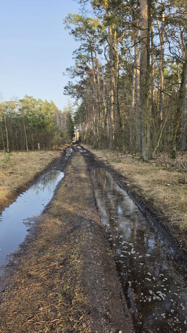 Samsung Galaxy S26 Ultra - obiektyw główny