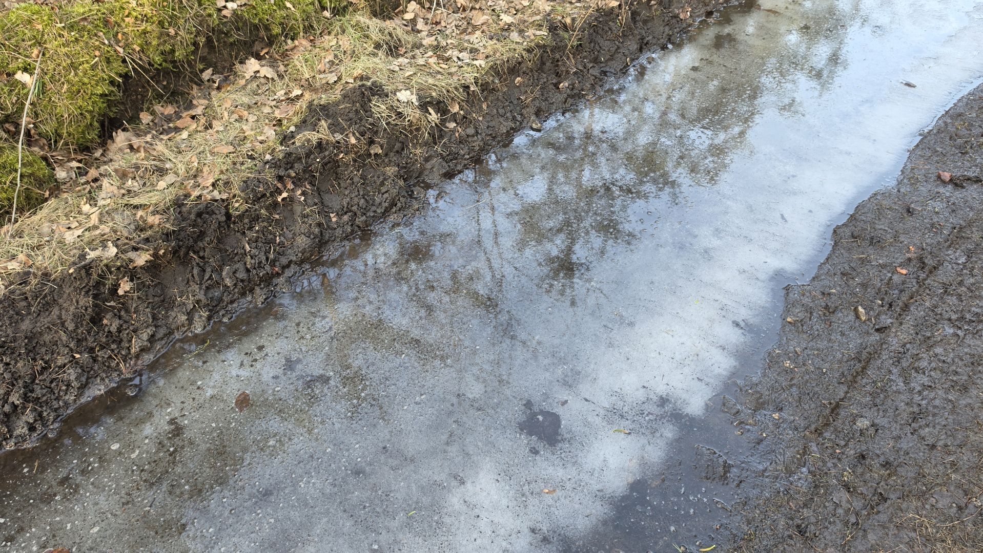 Samsung Galaxy S26 Ultra - obiektyw główny