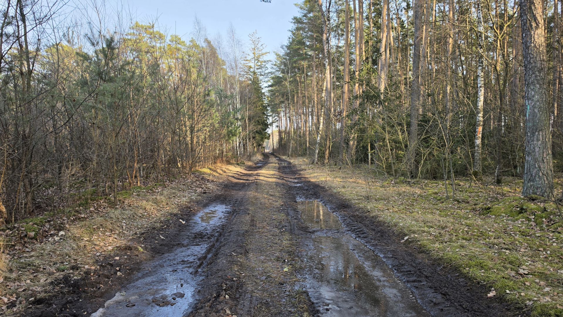 Samsung Galaxy S26 Ultra - obiektyw główny