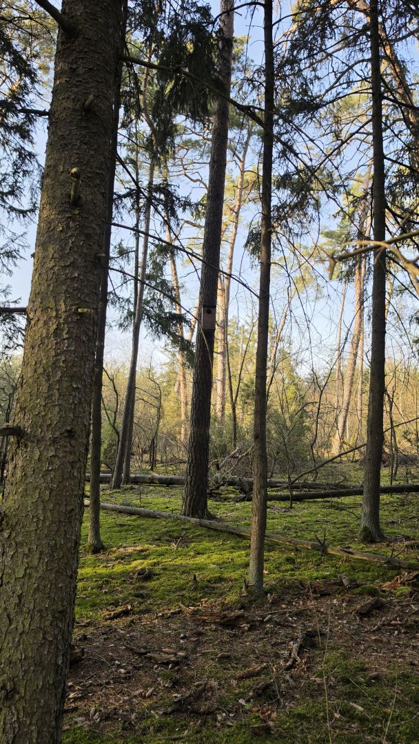 Samsung Galaxy S26 Ultra - obiektyw główny