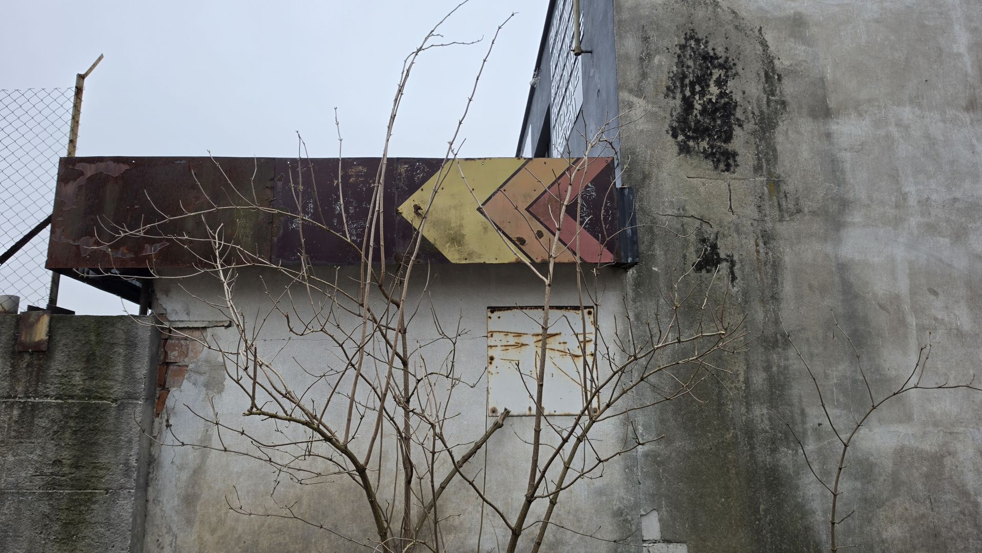 Samsung Galaxy S26 Ultra - obiektyw główny