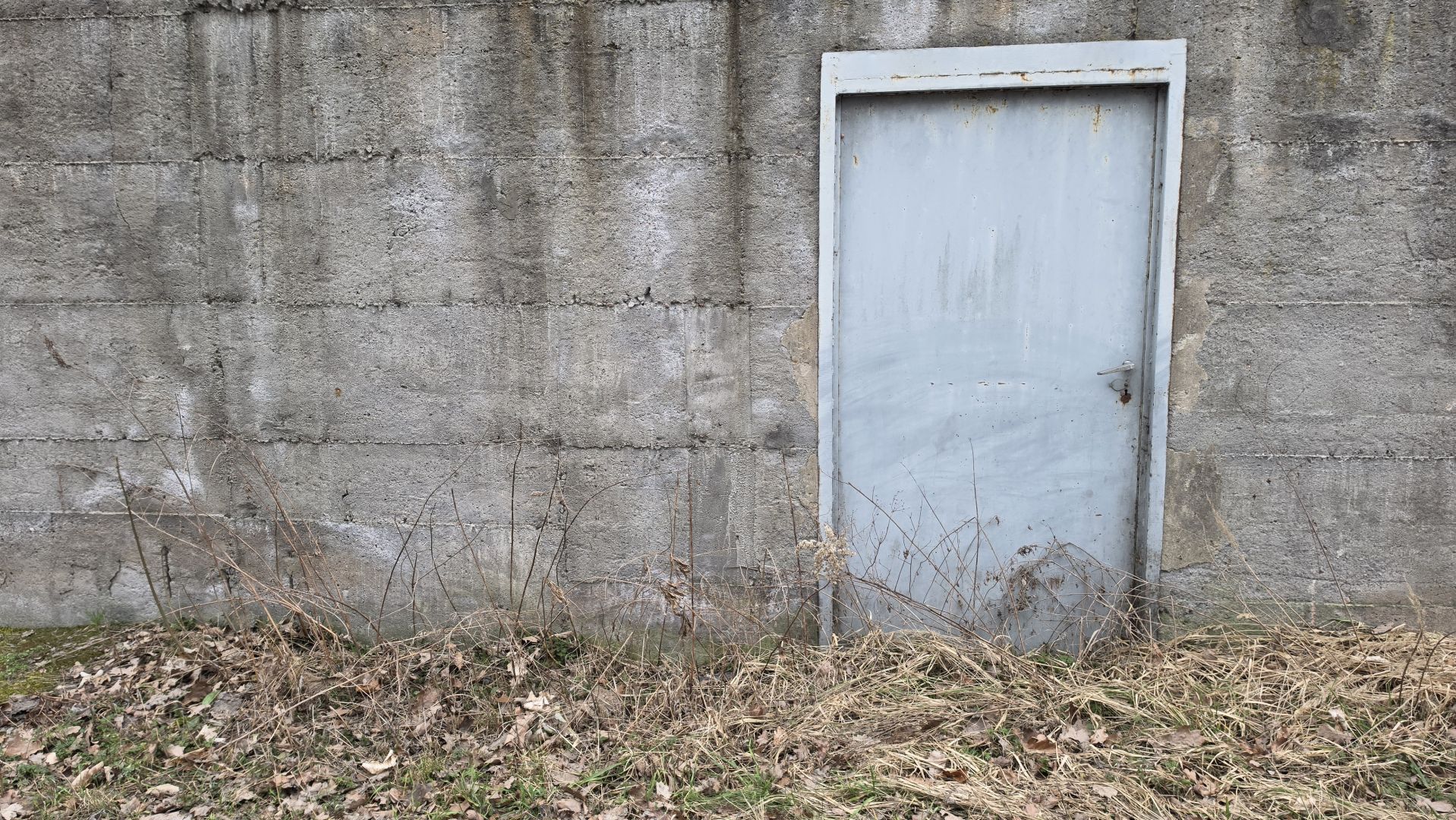 Samsung Galaxy S26 Ultra - obiektyw główny