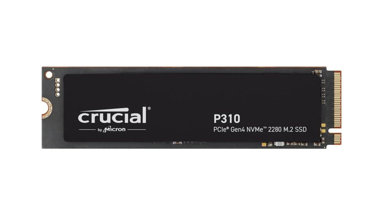 Crucial P310