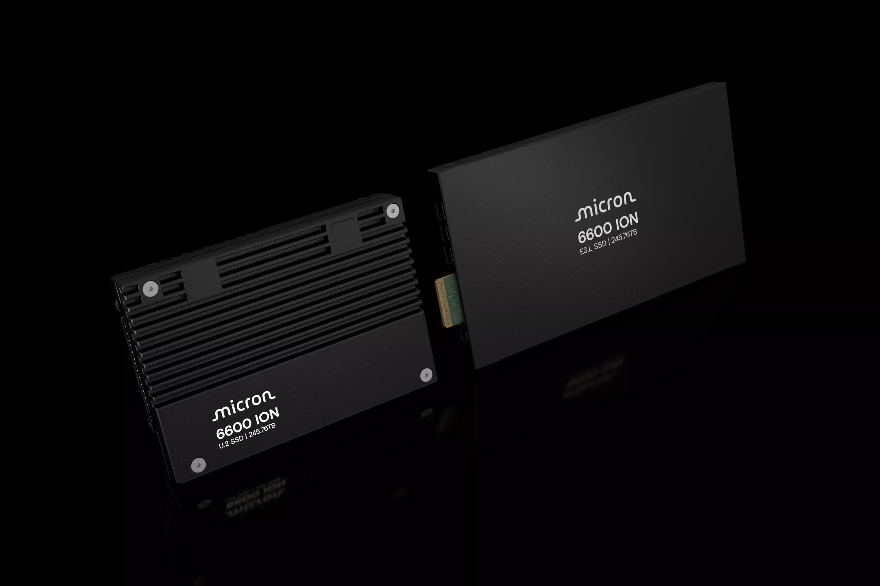 6600 ION