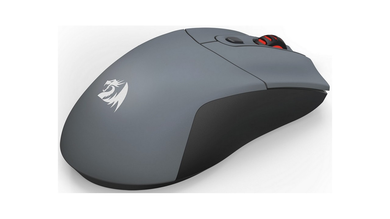 mysz
