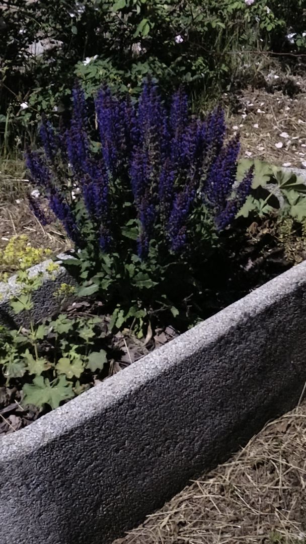 realme 16 - obiektyw główny i 2x zoom nocą