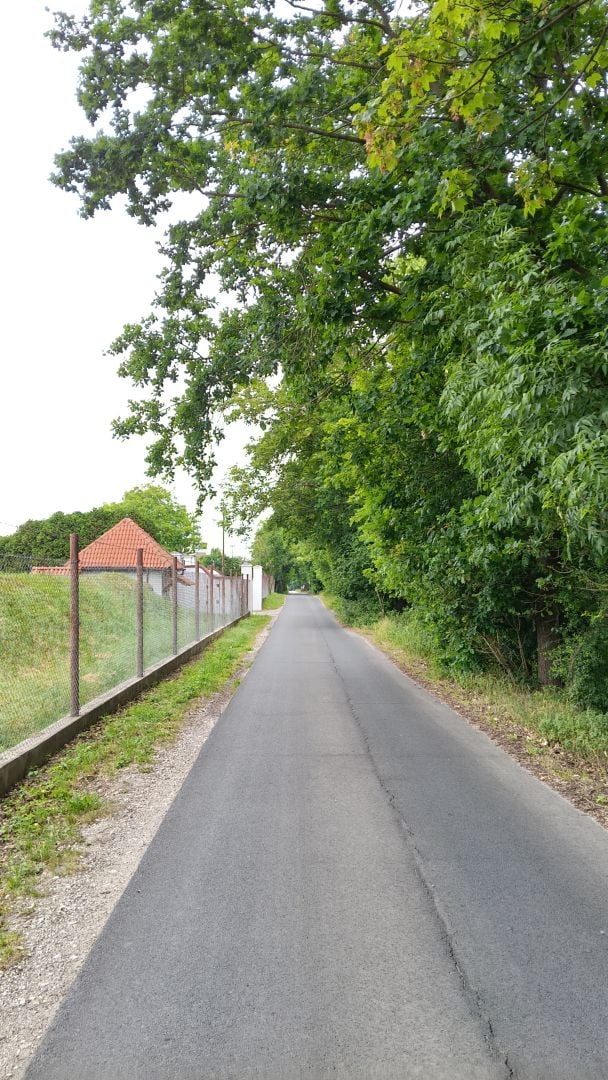 realme 16 - obiektyw główny i 2x zoom