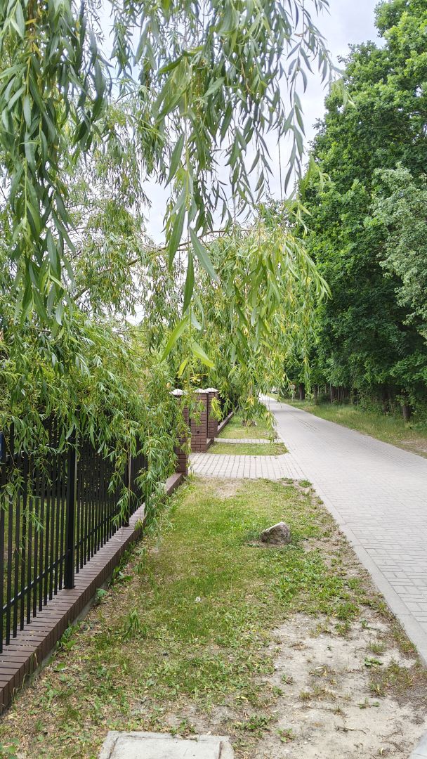 realme 16 - obiektyw główny i 2x zoom