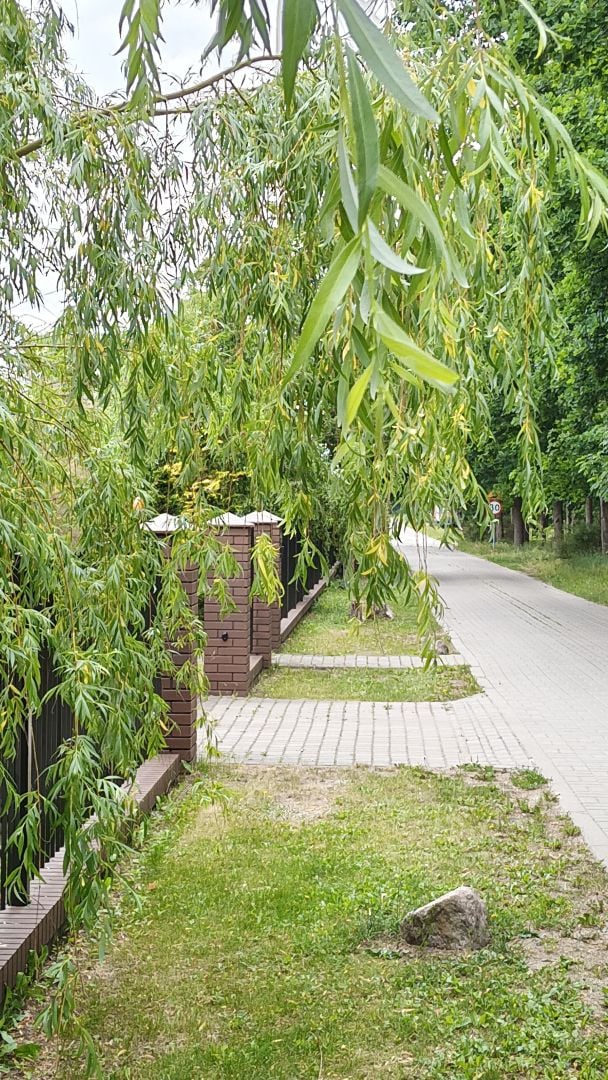 realme 16 - obiektyw główny i 2x zoom