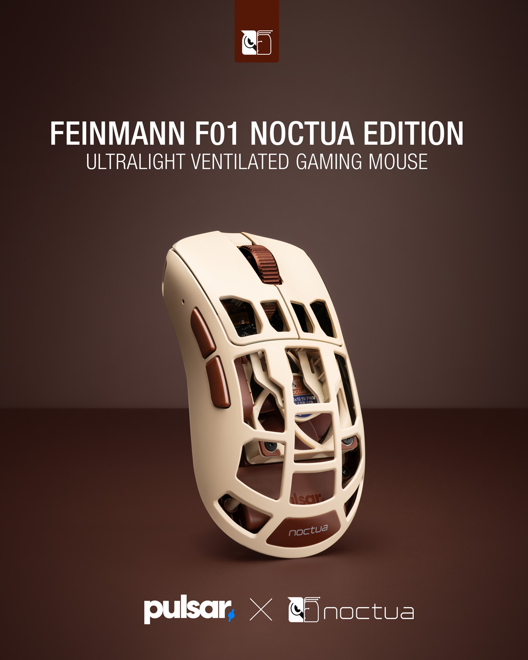Noctua