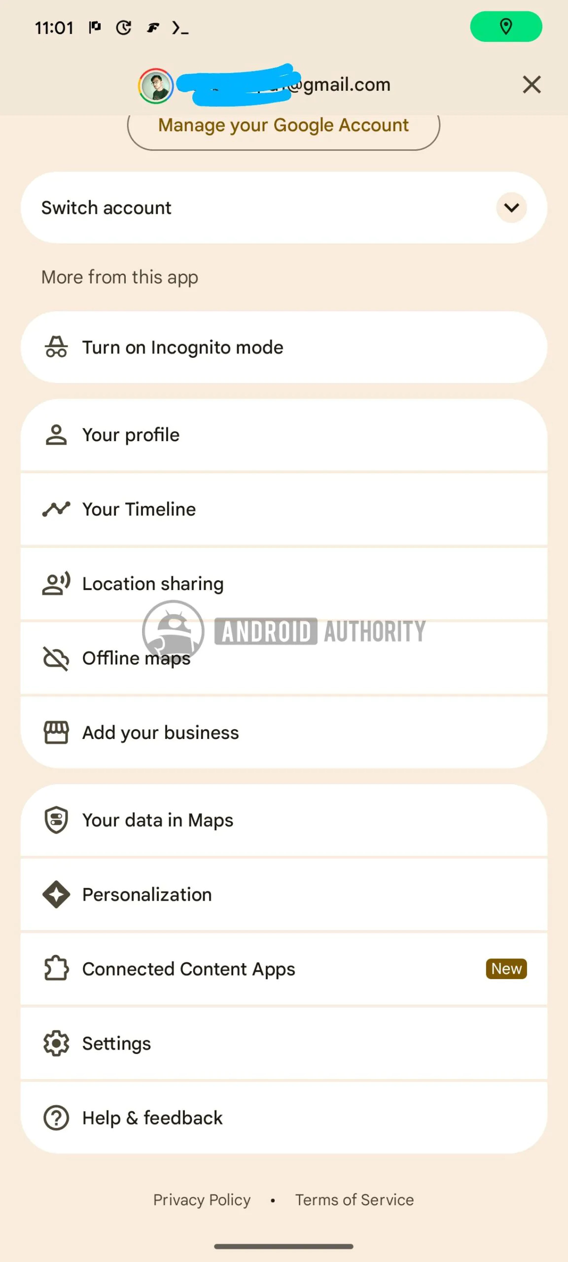 Google Maps