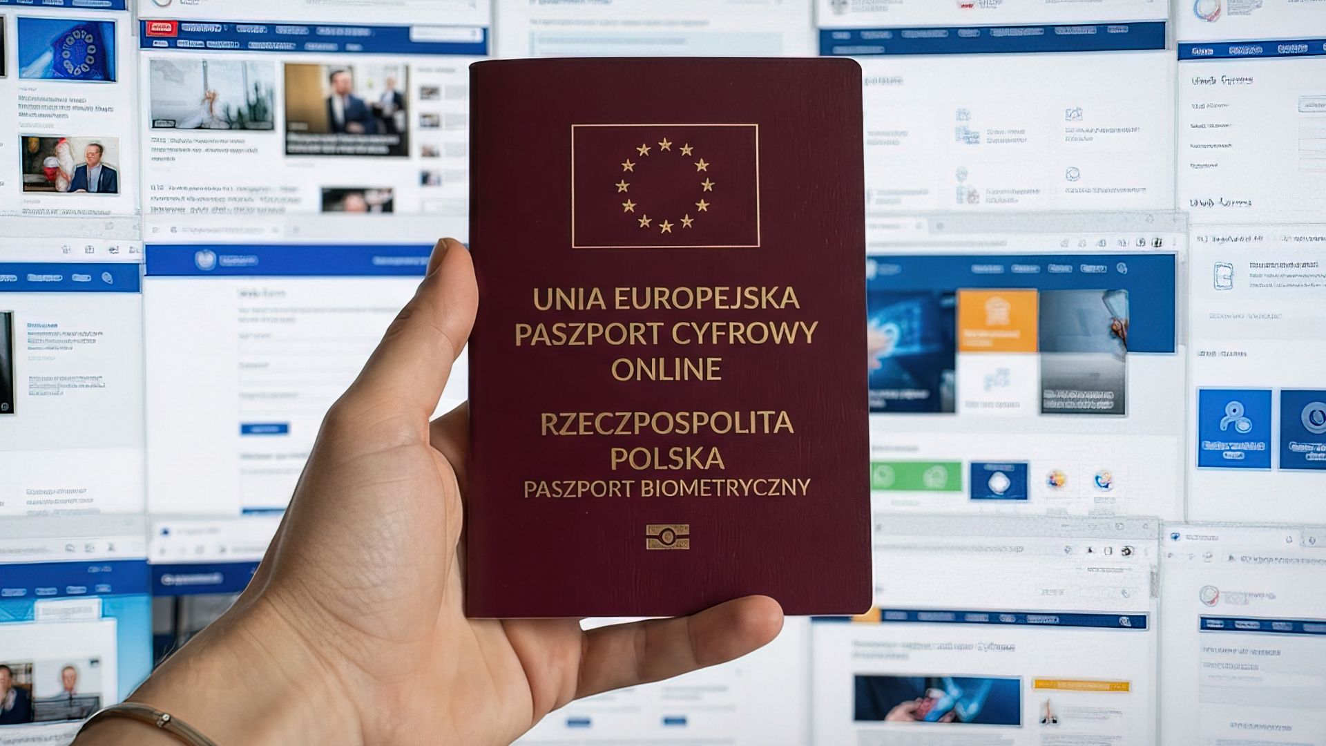 Paszport internetowy UE