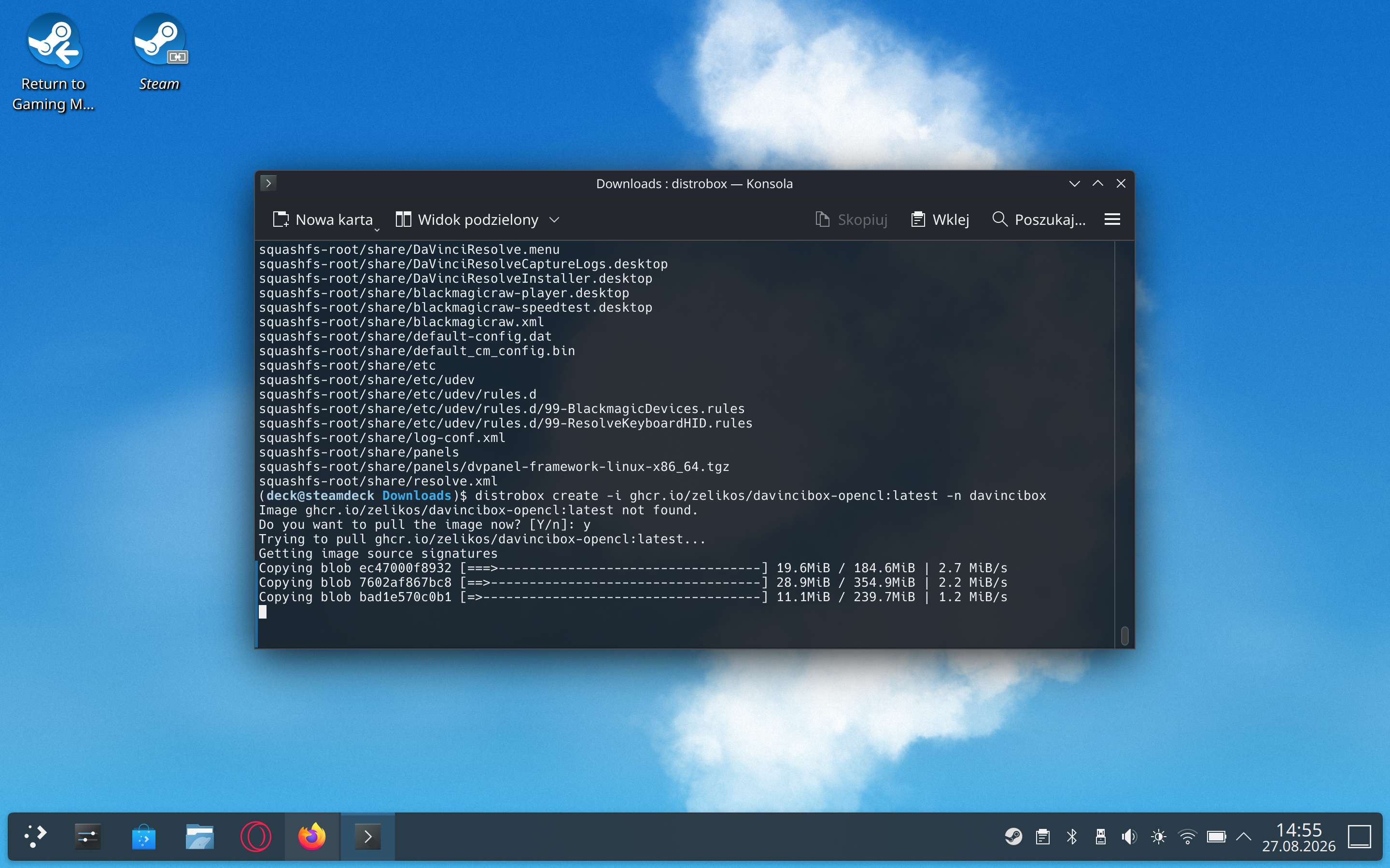 Terminal w SteamOS