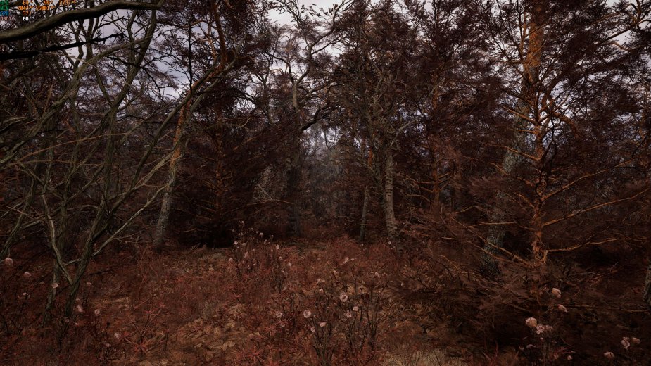 Test patcha 2.0 do S.T.A.L.K.E.R. 2. Wydajność CPU, GPU i jakość obrazu