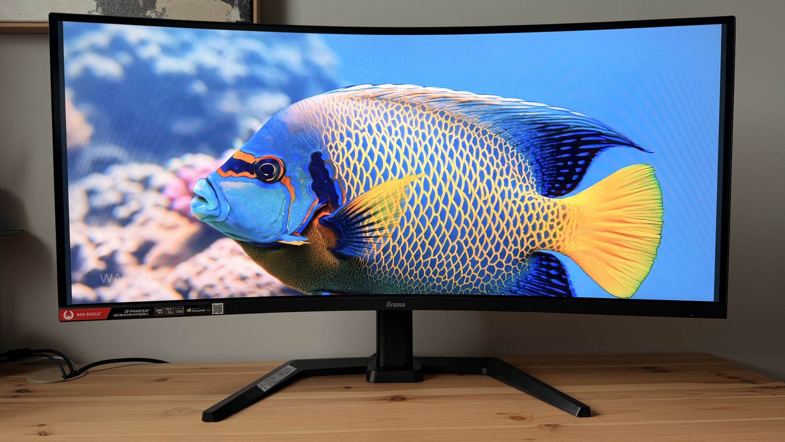 iiyama G-Master GCB3484WQSU-B2 Red Eagle