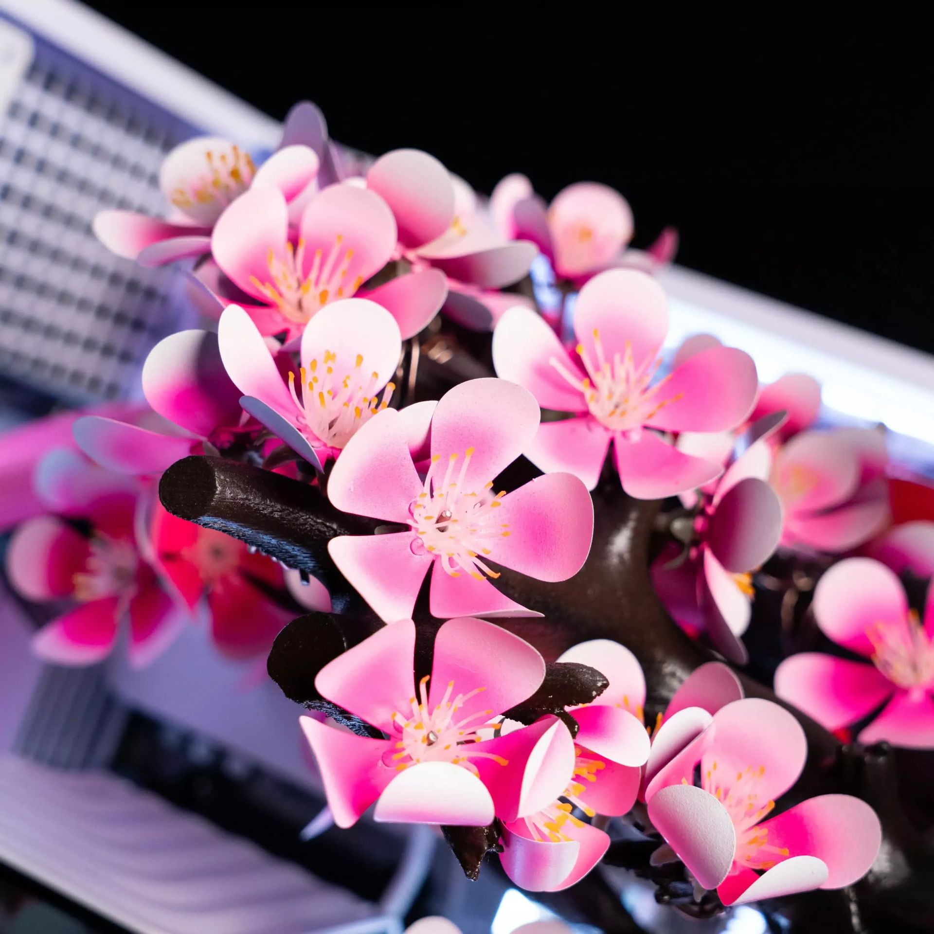 Cherry Bloom PC