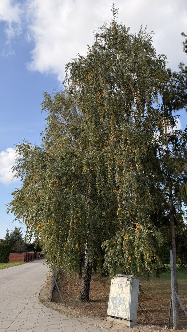 iPhone 18 Pro Max - obiektyw ultraszerokokątny, główny, 2x zoom, teleobiektyw 4x zoom, 8x zoom