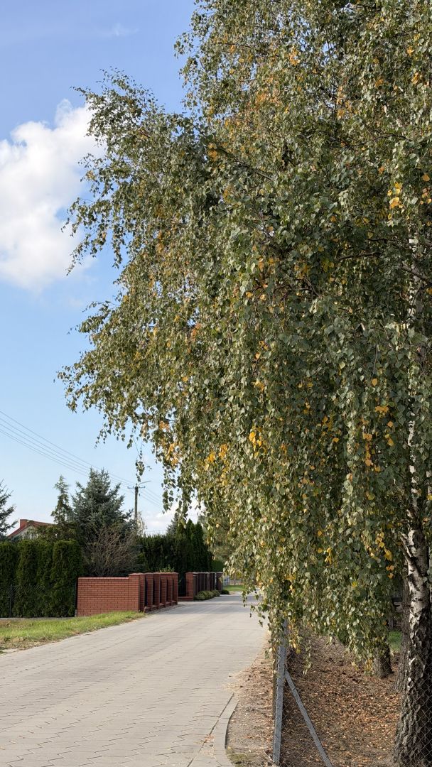 iPhone 18 Pro Max - obiektyw ultraszerokokątny, główny, 2x zoom, teleobiektyw 4x zoom, 8x zoom