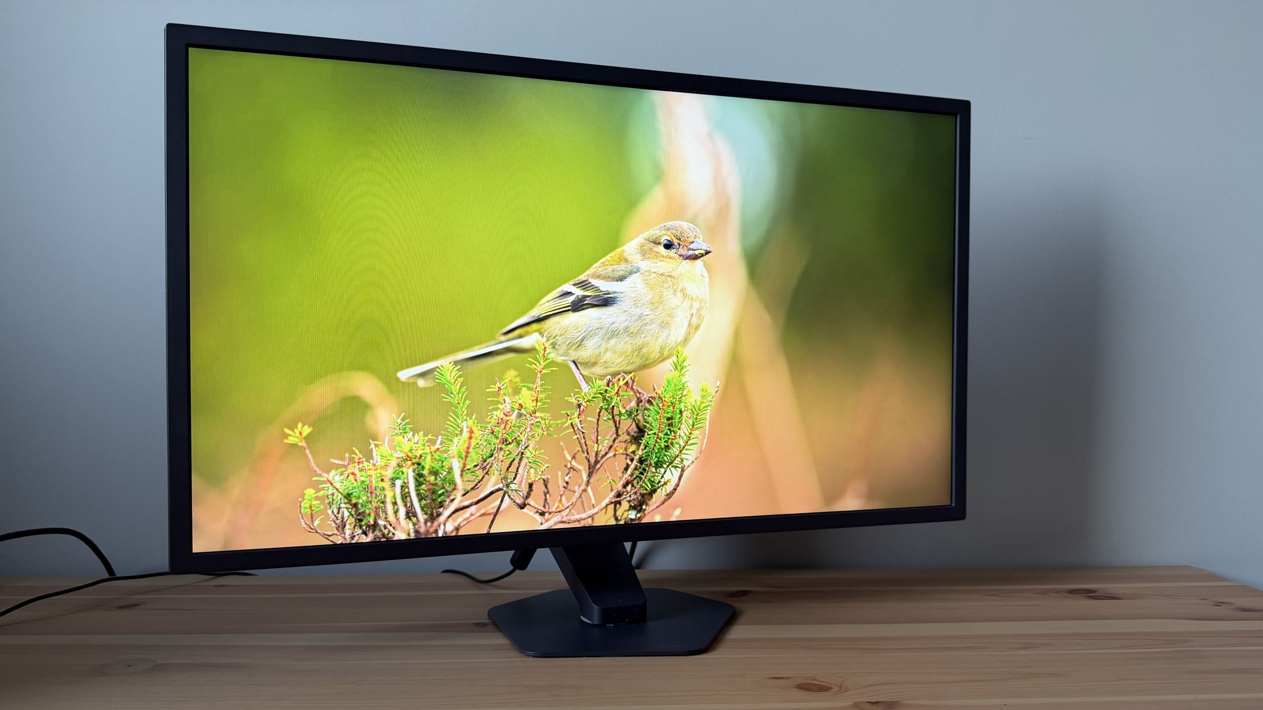 LG UltraGear 25G590B-B