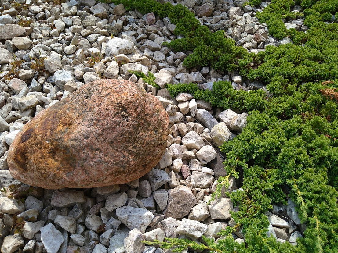 Główny obiektyw tryb automatyczny bez HDR