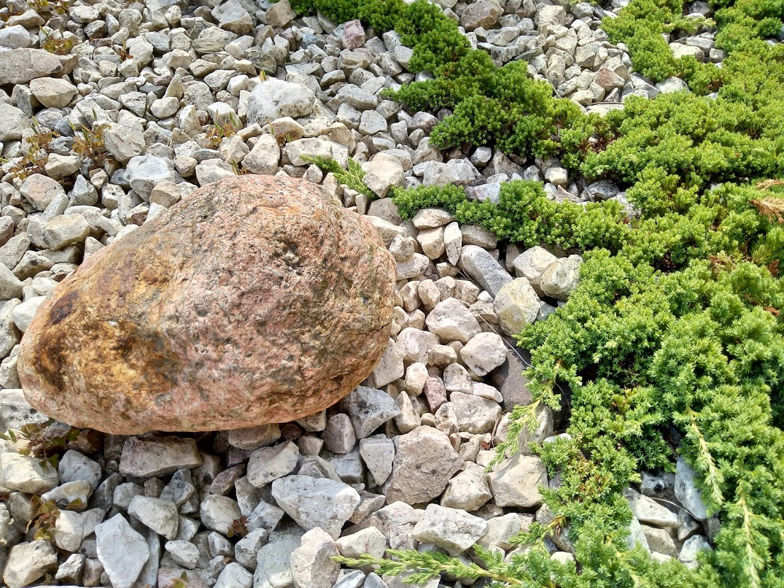 Główny obiektyw tryb automatyczny z HDR