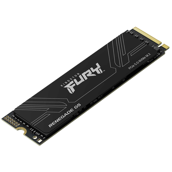 Kingston Fury Renegade G5
